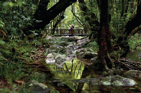 北角雨林